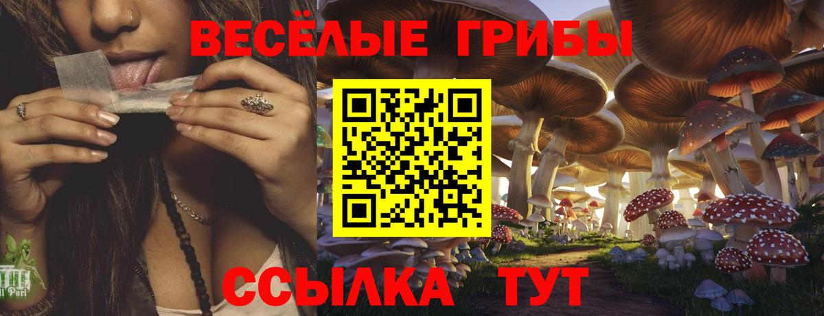 Псилоцибиновые грибы ЛСД Новочебоксарск